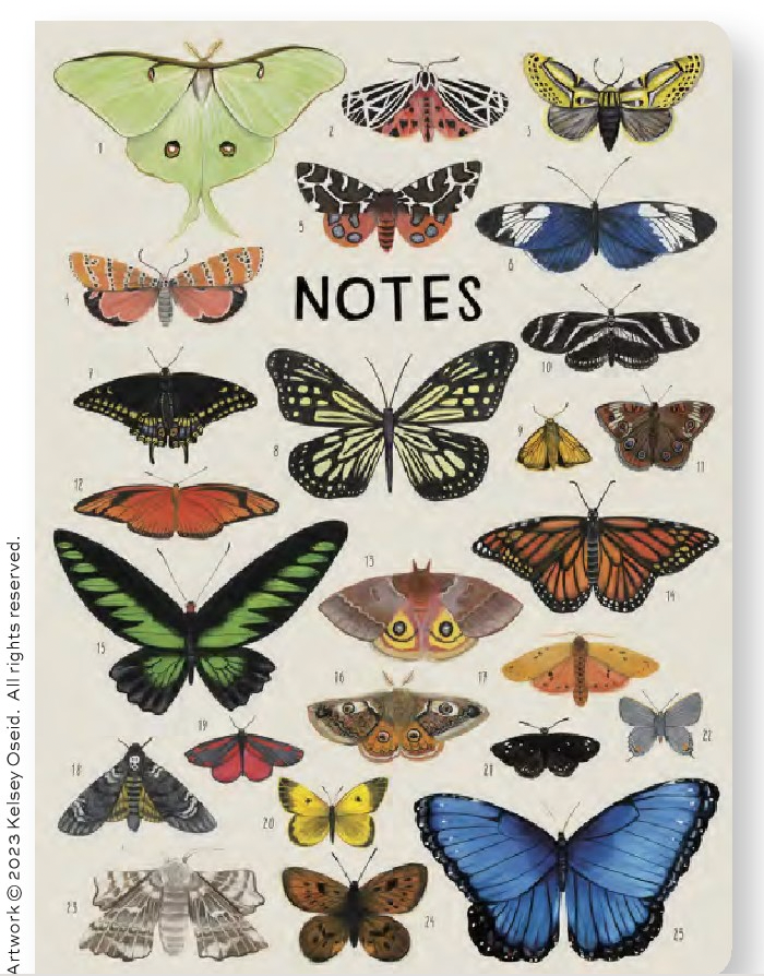 High Note Order Of Animals Undated Planning Notebook, Softcover