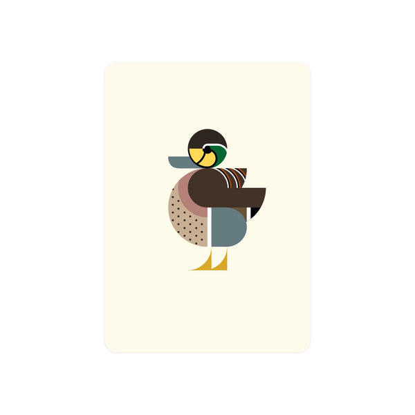 Duck Postcard