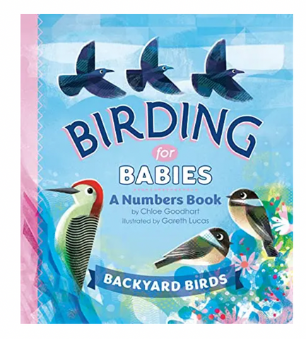 Birding For Babies: A Numbers Book
