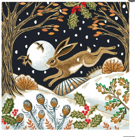 Woodland Hare, Box Of 8 Cards
