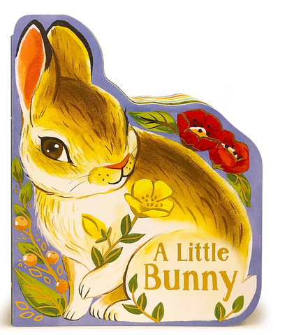 A Little Bunny, board book