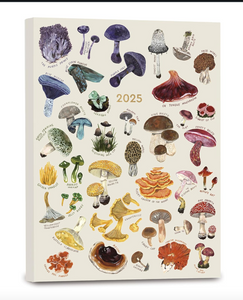 High Note Mushrooms Softcover 2025, 17 Month Agenda