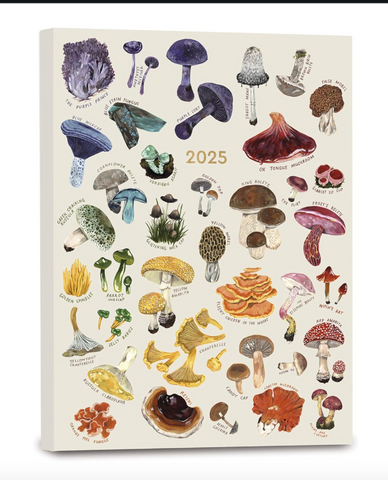 High Note Mushrooms Softcover 2025, 17 Month Agenda