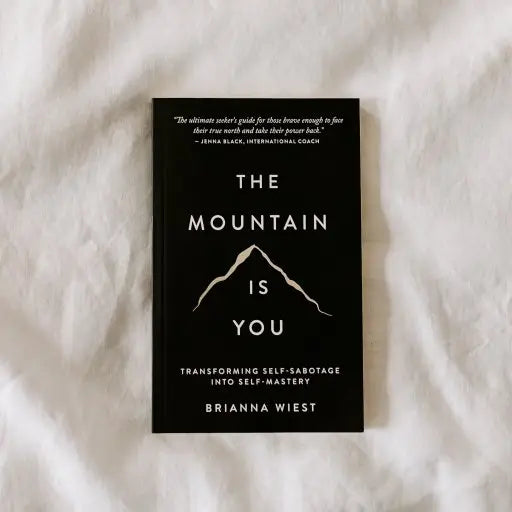 The Mountain Is You: Transforming Self-Sabotage Into Self-Mastery