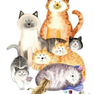 Collects Cats (and Proud Of It) Card