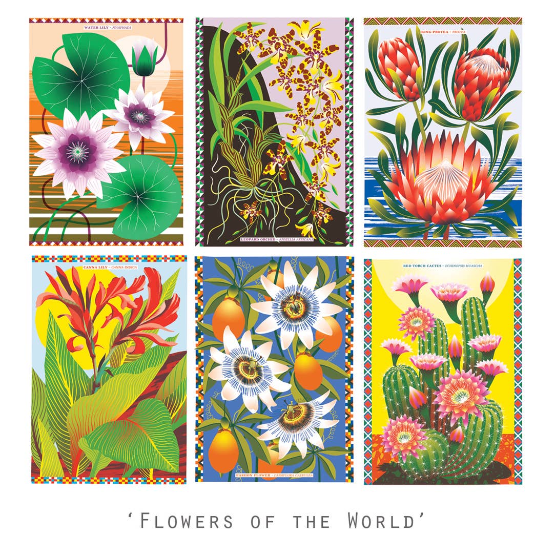 Printer Johnson Flowers Of The World Postcard Pack