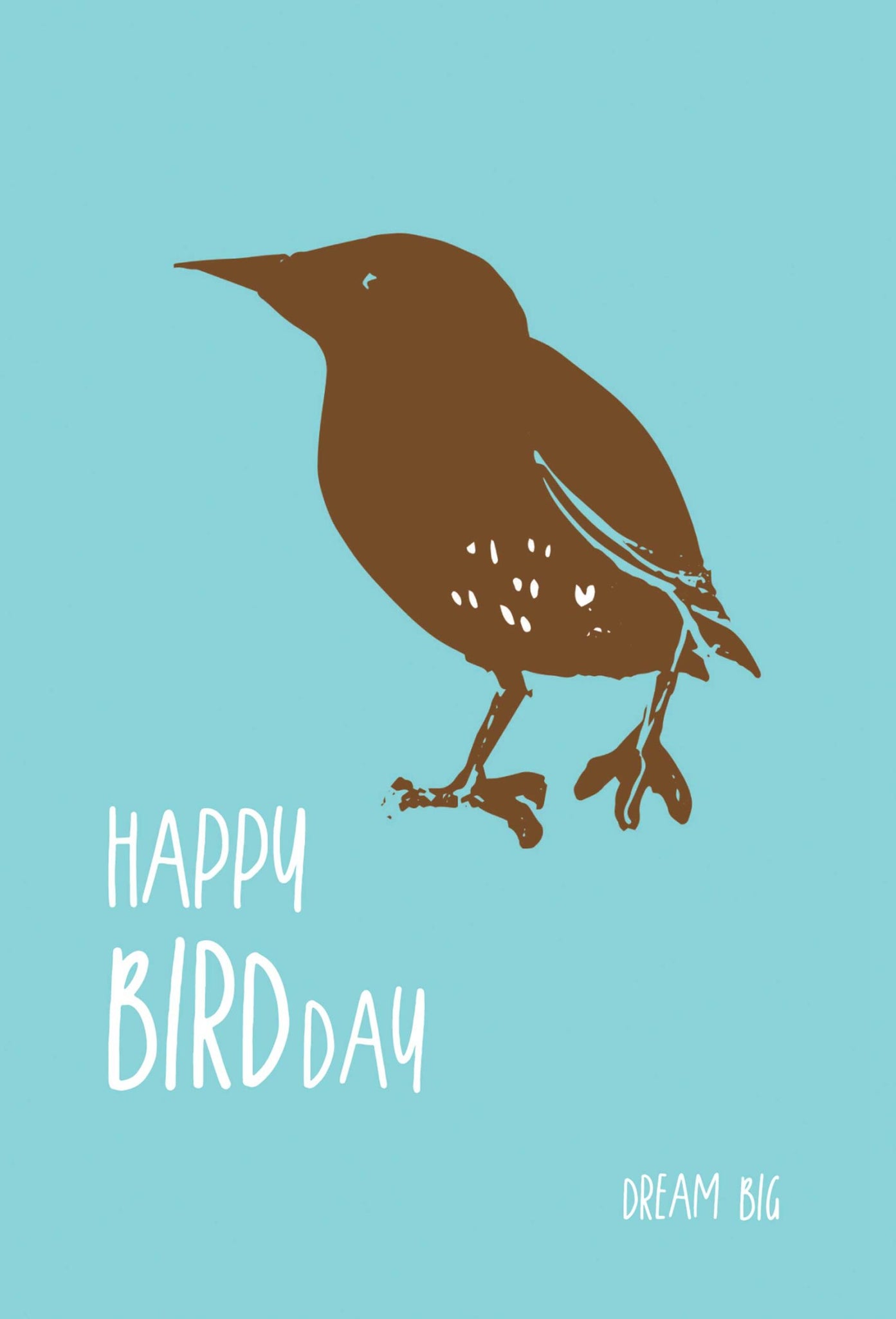 Happy Bird Day, Dream Big Card