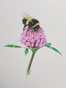 Card & Cloth Bee On Clover Mini Card