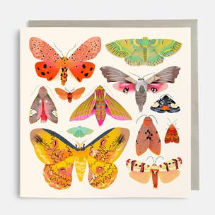 Sunny Beast Moth Card