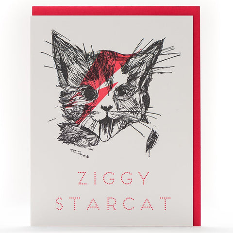 Porchlight Press Ziggy Starcat Card