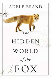 The Hidden World Of The Fox
