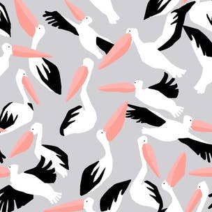 Pelican Tea Towel
